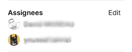Multiple assignees