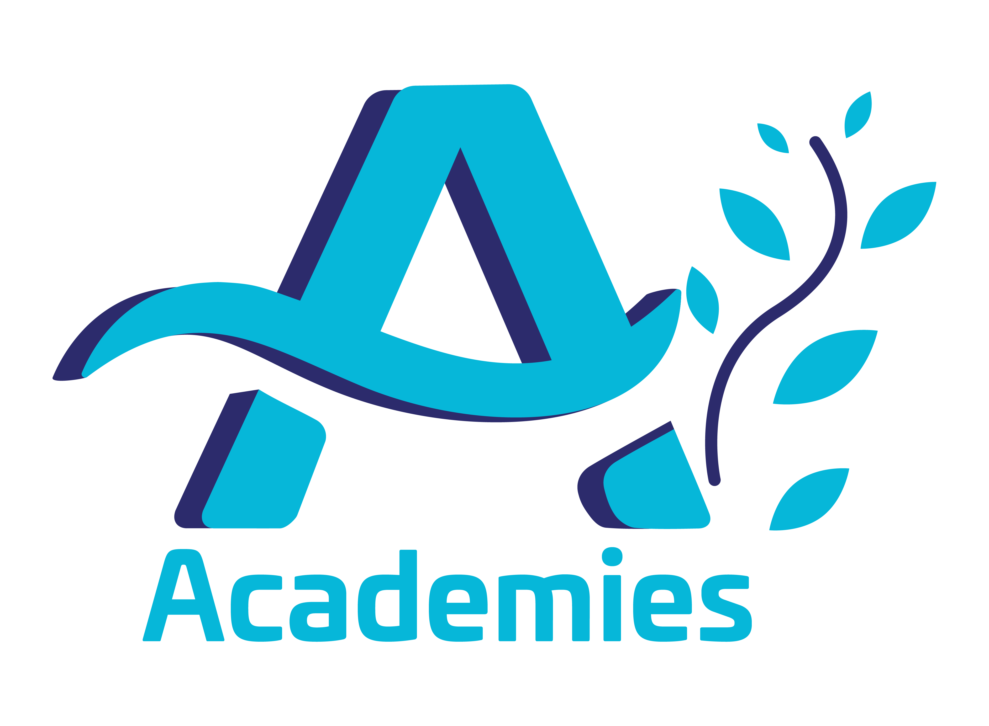 Software Solution College